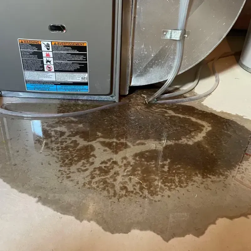 Appliance Leak Cleanup in Palestine, TX